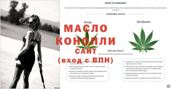Альфа ПВП Бородино