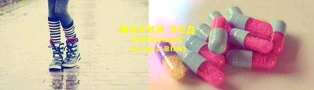 Альфа ПВП Бородино