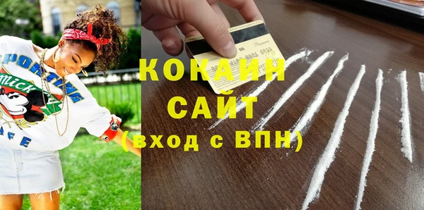 Альфа ПВП Бородино