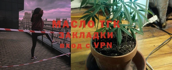 дживик Богородск