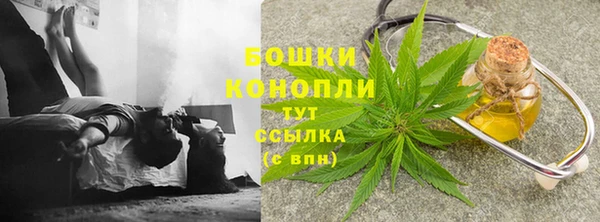 Альфа ПВП Бородино