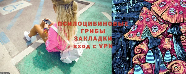 дживик Богородск