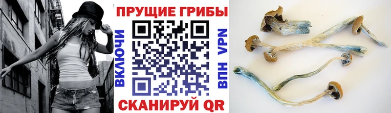 Галлюциногенные грибы MAGIC MUSHROOMS Бузулук